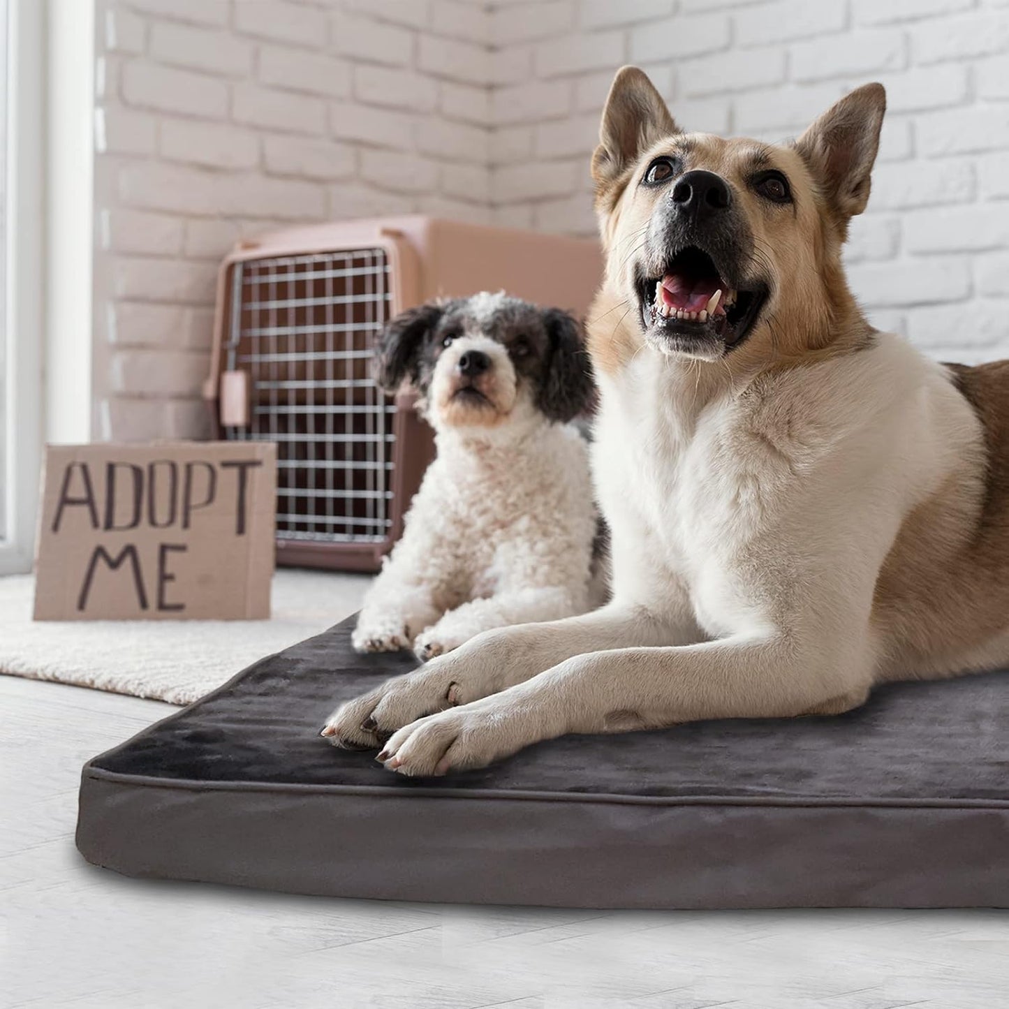 Magic Handle Orthopedic Memory Foam Dog Beds for Large Dogs, Washable Large Dog Bed for Crate, Pet Bed with Removable Cover and Non-Slip Bottom